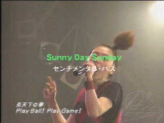 VSL_Z`o_Sunny Day Sunday