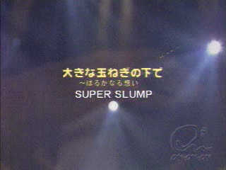 VSL_Super Slump_傫ȋʂ˂̉